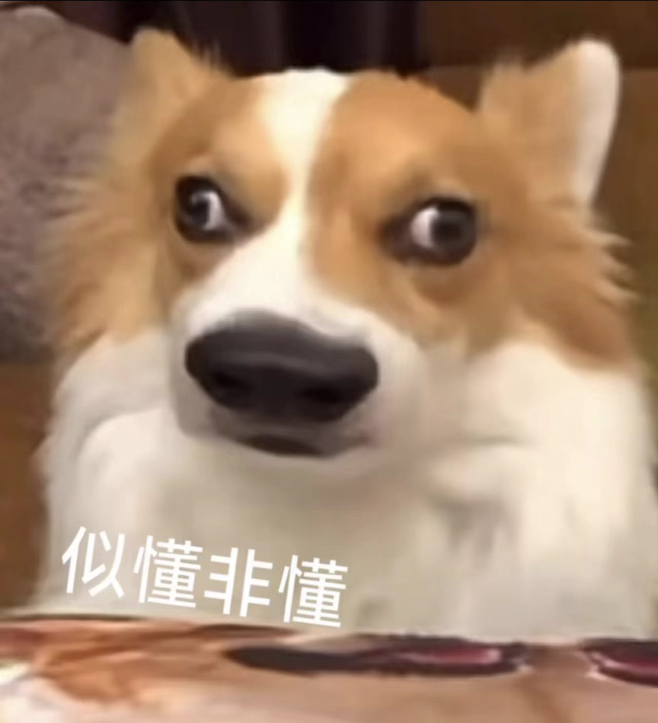 你听过最离谱的空耳别把空耳当玩笑！那些听不清、听错的瞬间，可能是耳朵在求救。长期