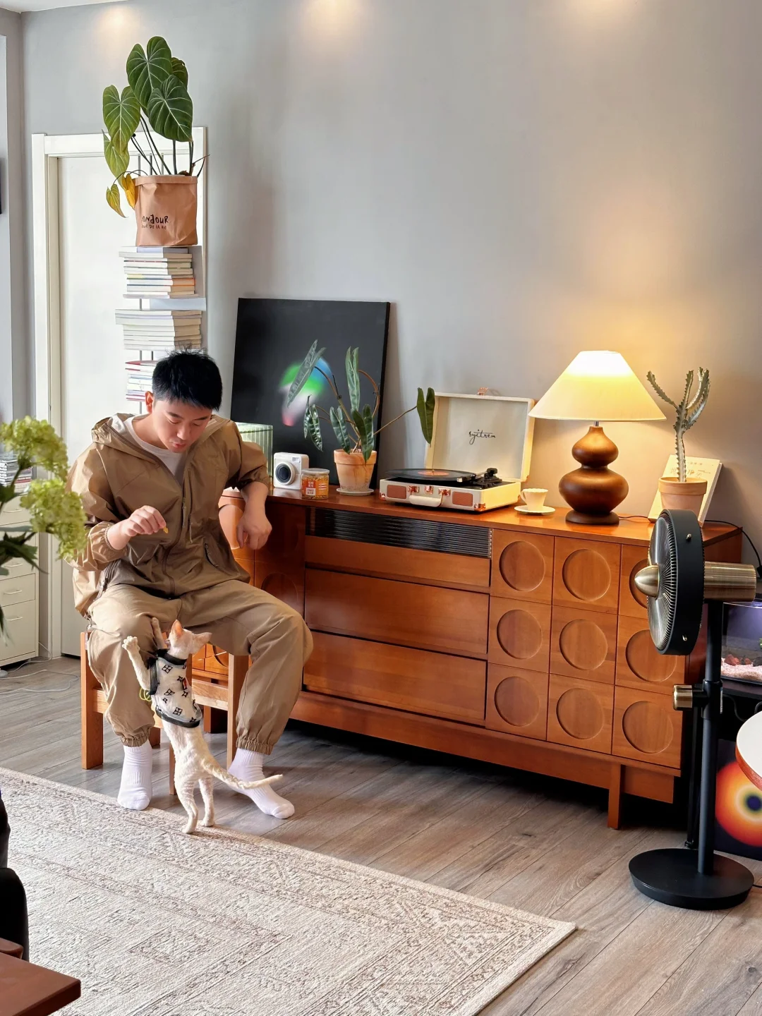 34岁，未婚有房，一人一猫的快乐谁懂啊？