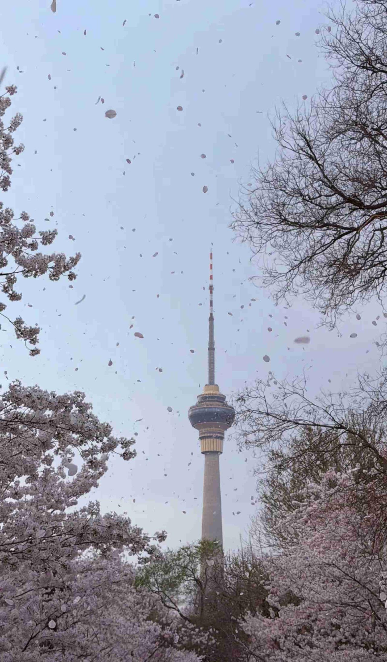 我的今日状态：😁轻松愉快
我这里的天气：☀️晴天