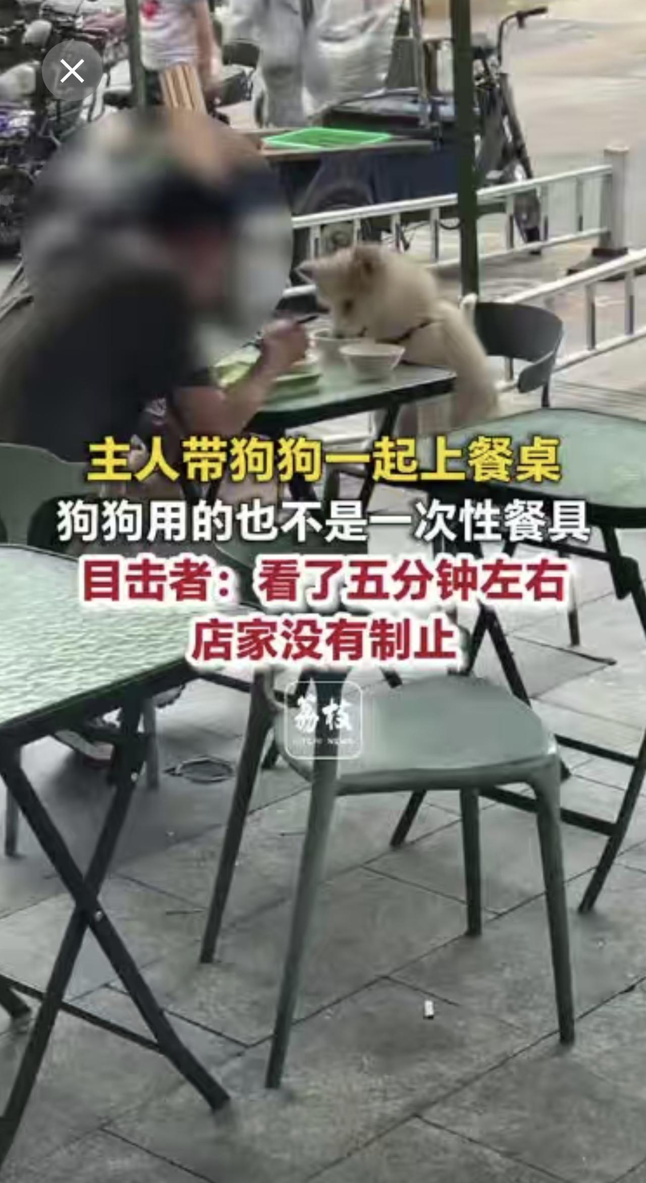 主人带狗狗一起上餐桌
狗狗用的也不是一次性餐具
目击者：看了五分钟左右
店家没有