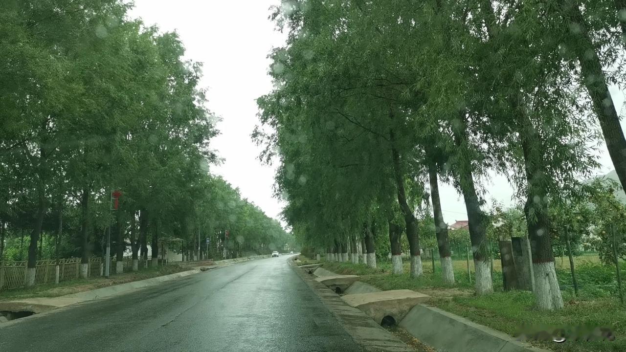 前几天去兰州，路过五泉山周边的几幢建筑，我在一群建筑周边伫立了好久，思绪万千，一