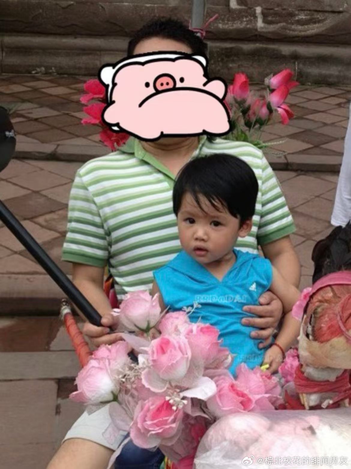 张奕然 四代唯一ACE 张奕然是一只猪 一个宝宝 一个男孩 一个妹妹