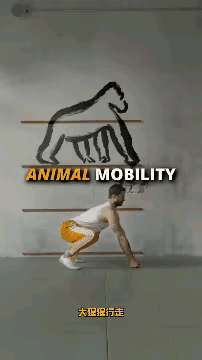 看这个男子做的这五套动作，和我们华佗的五禽戏有异曲同工之妙，也许他看过华佗的五禽