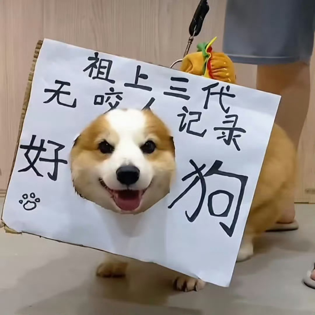 云裳是远近闻名的好狗狗 