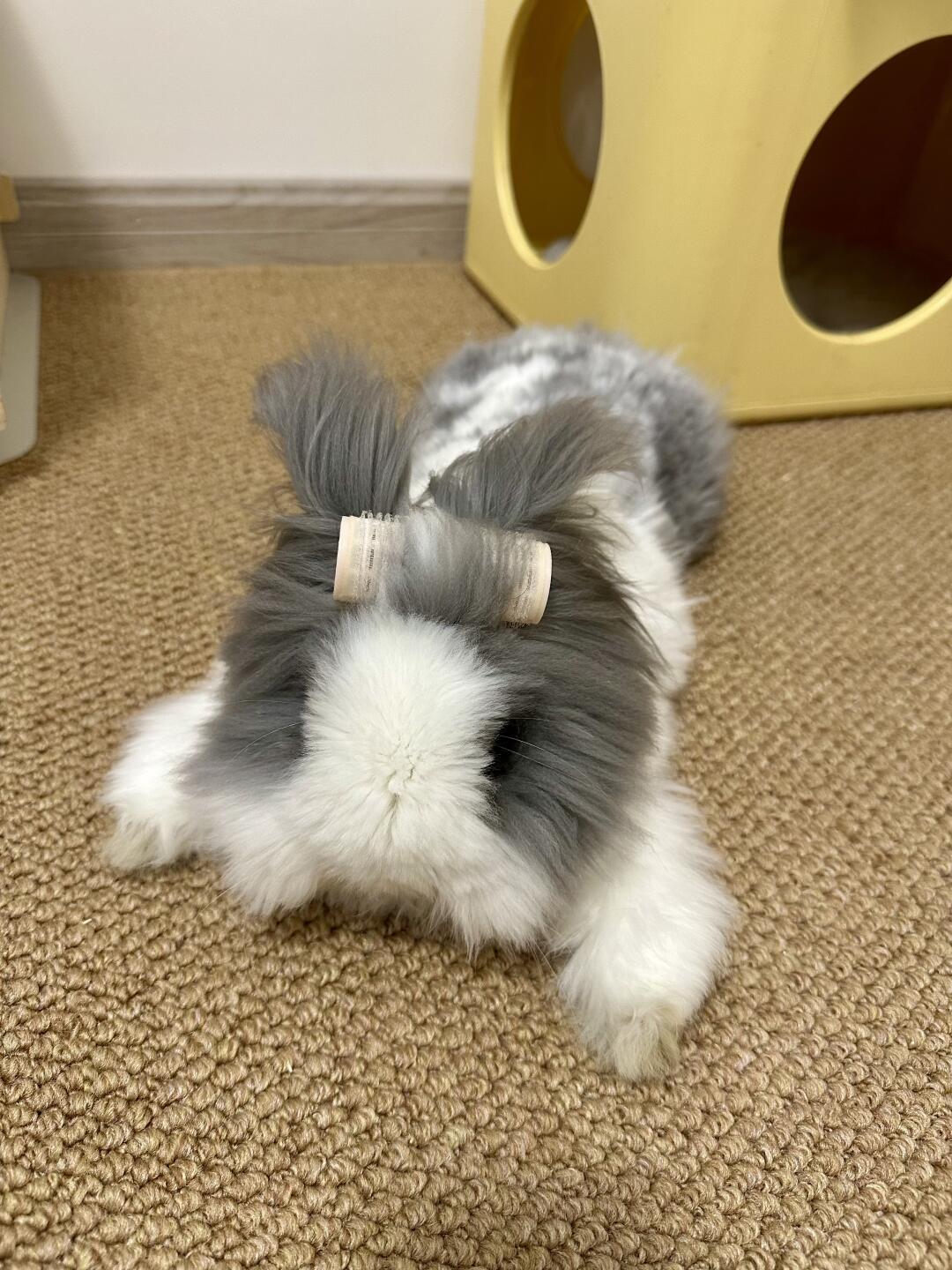 做头发的胖师傅