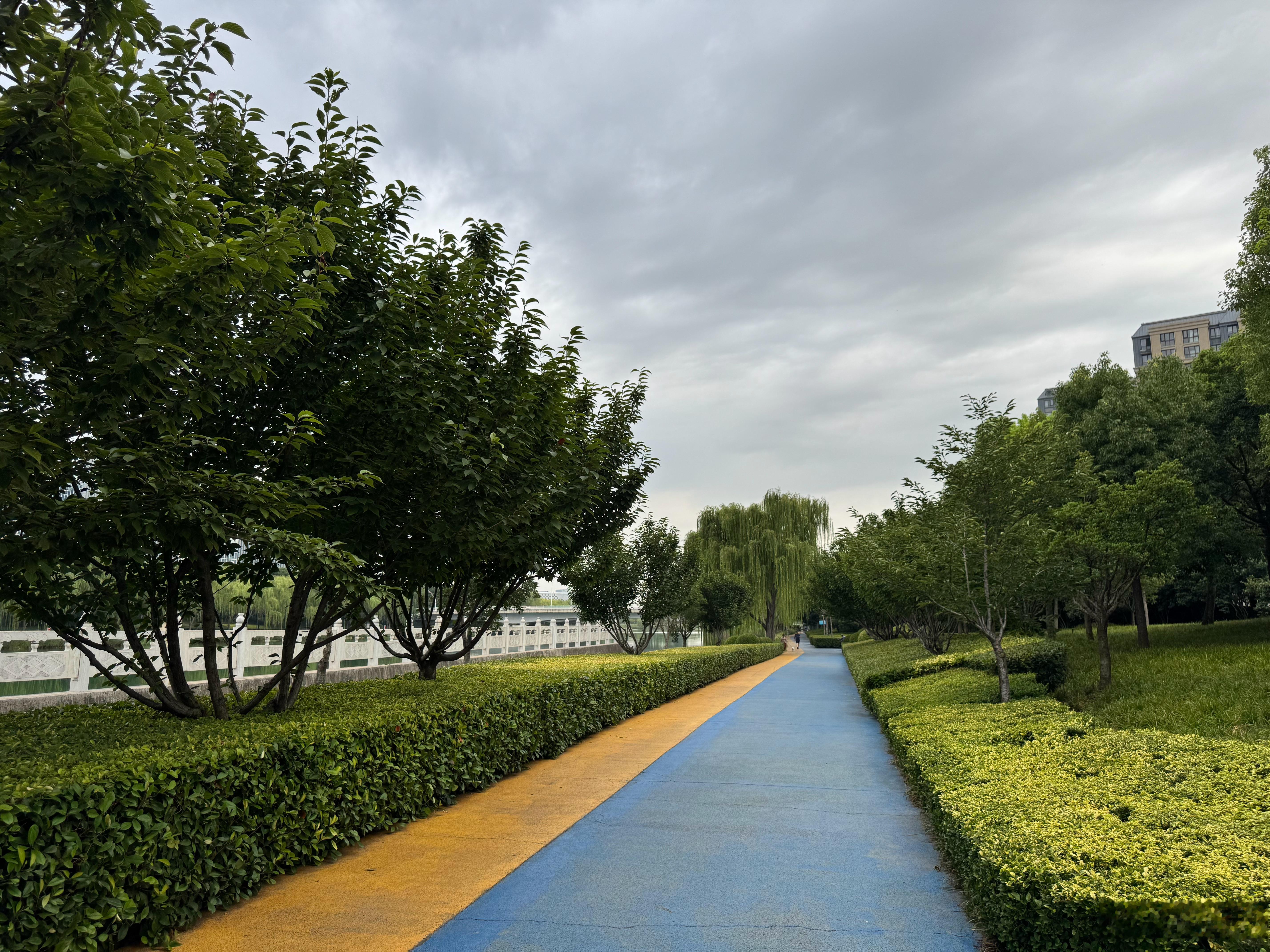 今早6:30完成5公里，配速7.5，心率128，步频168。闷热，预报有雨但没下