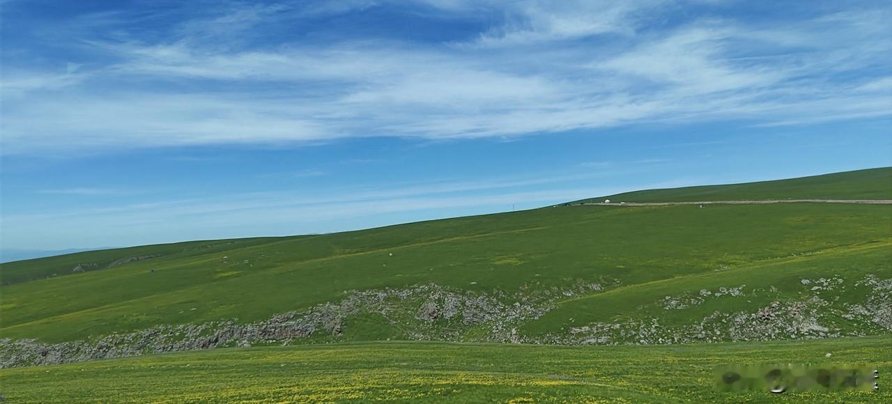 记录我的2026美丽的喀拉峻大草原