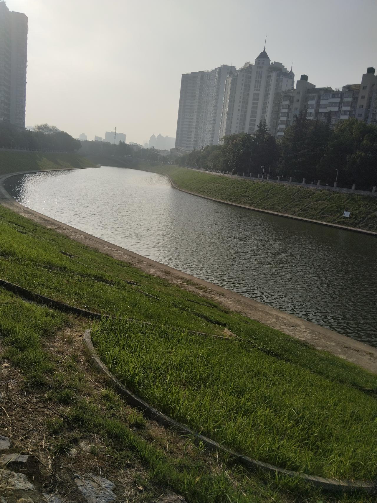 车到沿河路  自然而然的放慢了速度 在摆柳与直松遛过  看着银河在晨光下闪着明波