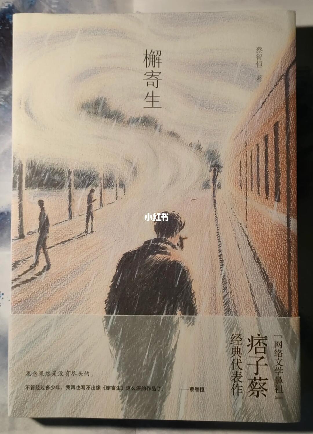 【推书】No.050网络文学鼻祖的代表作