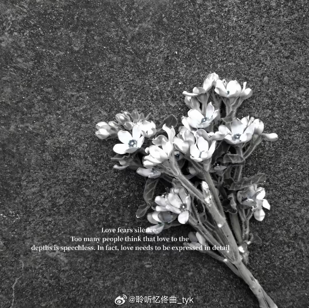 𝐖𝐞𝐂𝐡𝐚𝐭头像背景图 ‖韩系 