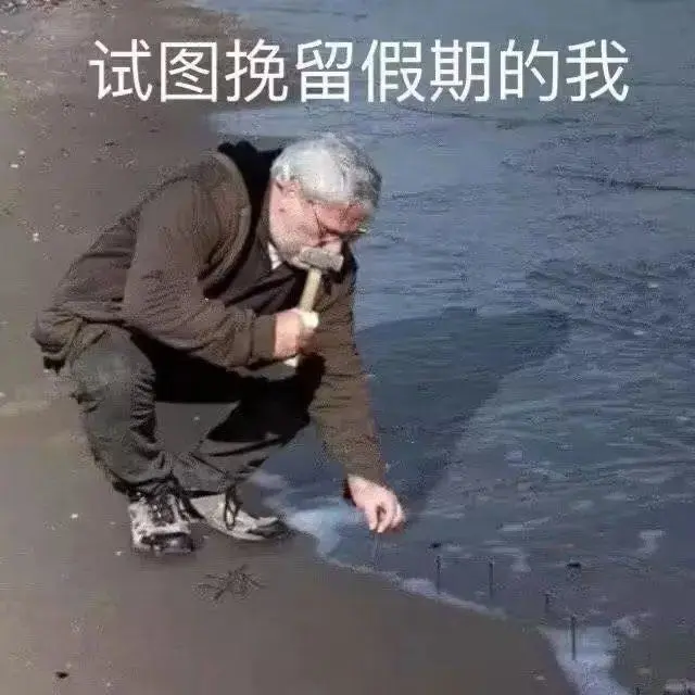 试图挽留假期的我呜呜呜呜搞笑图片梗图合集