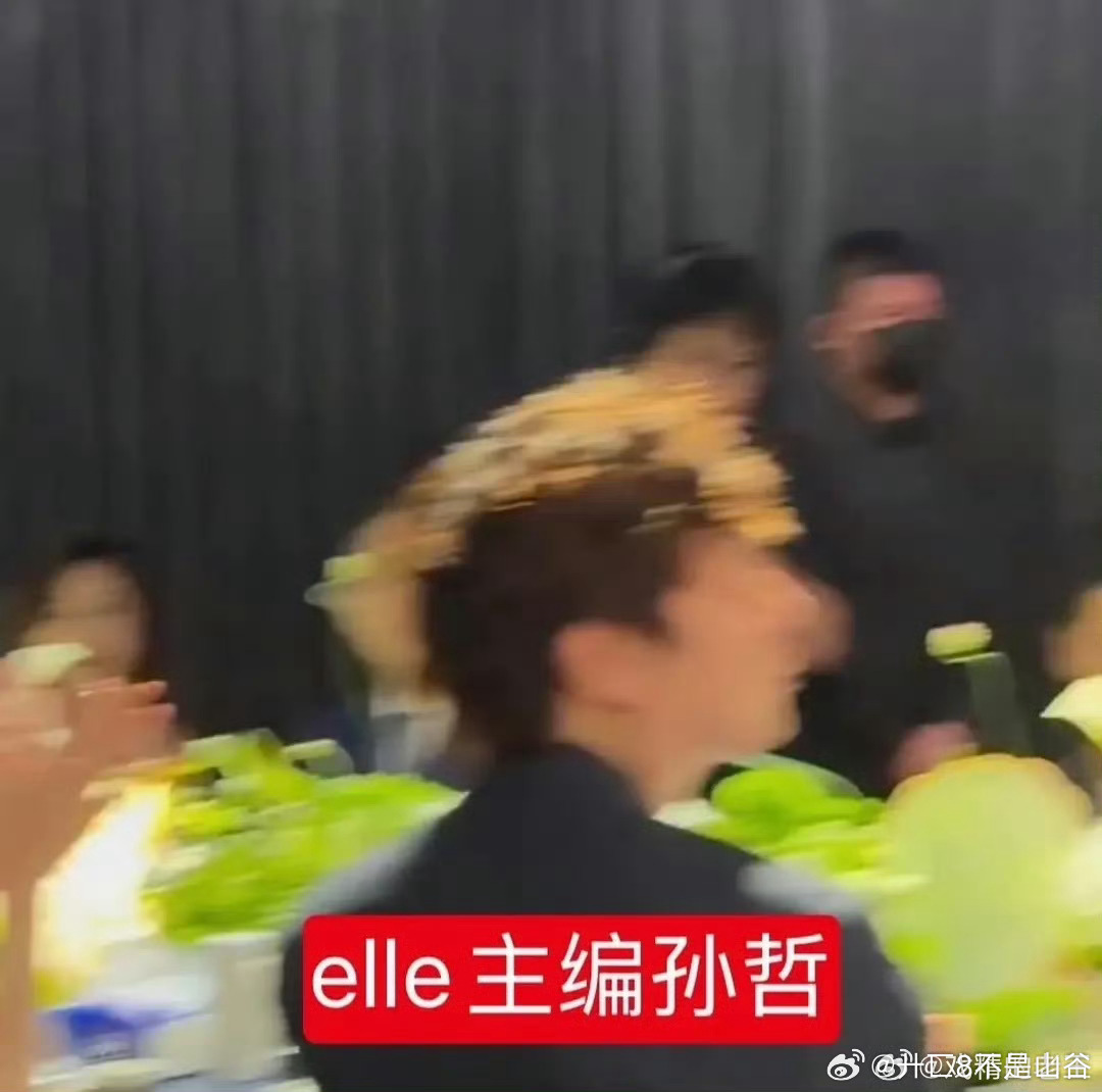 真正的高珠晚宴vogue主编刘冲嘉人ceo孙赛赛时尚芭莎执行主编卫甜elle主编