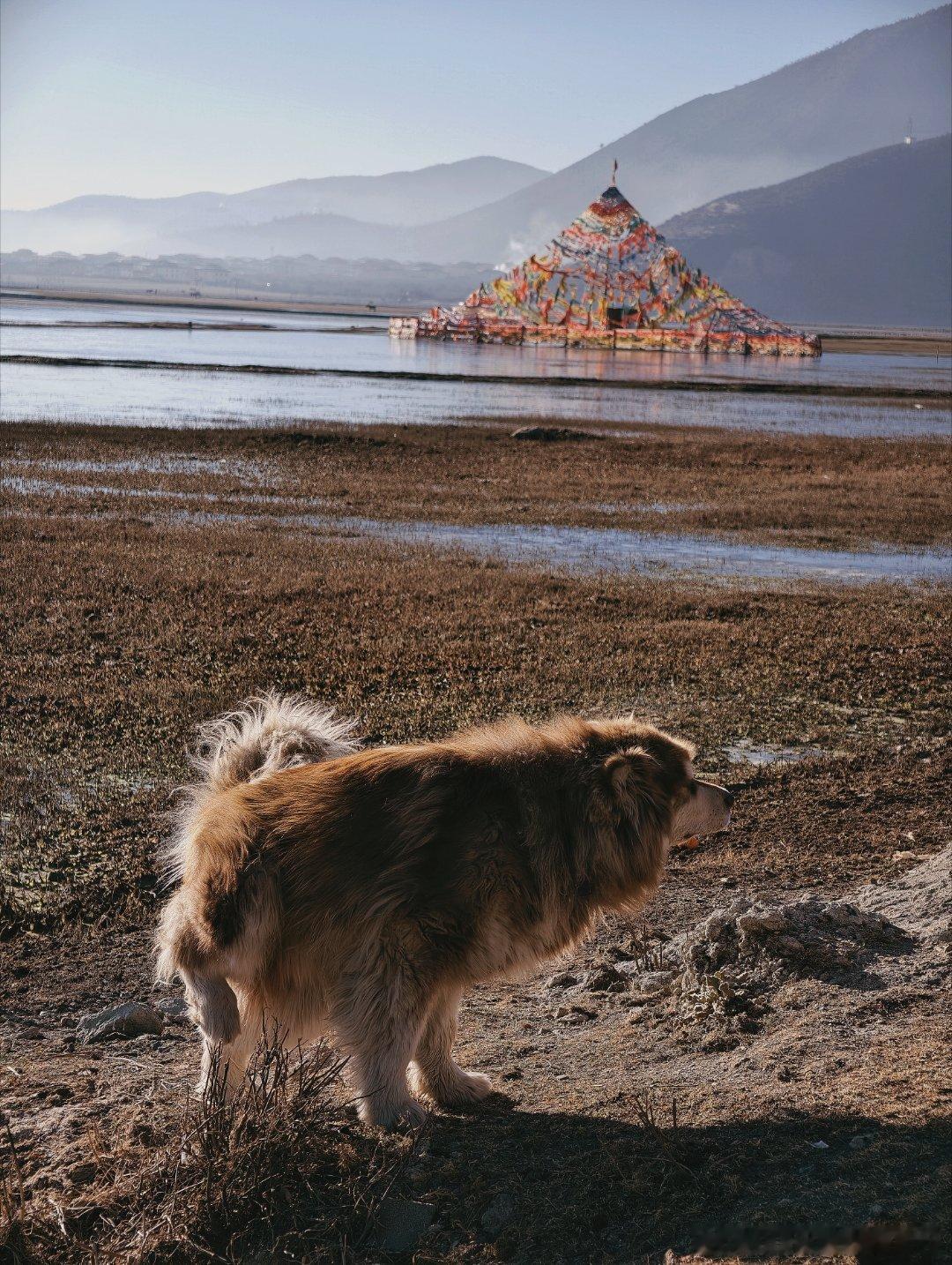 来一点清晨的美好能量在香格里拉纳帕海边上的 wu 与苏咖啡，吃一碗热气腾腾的米粉