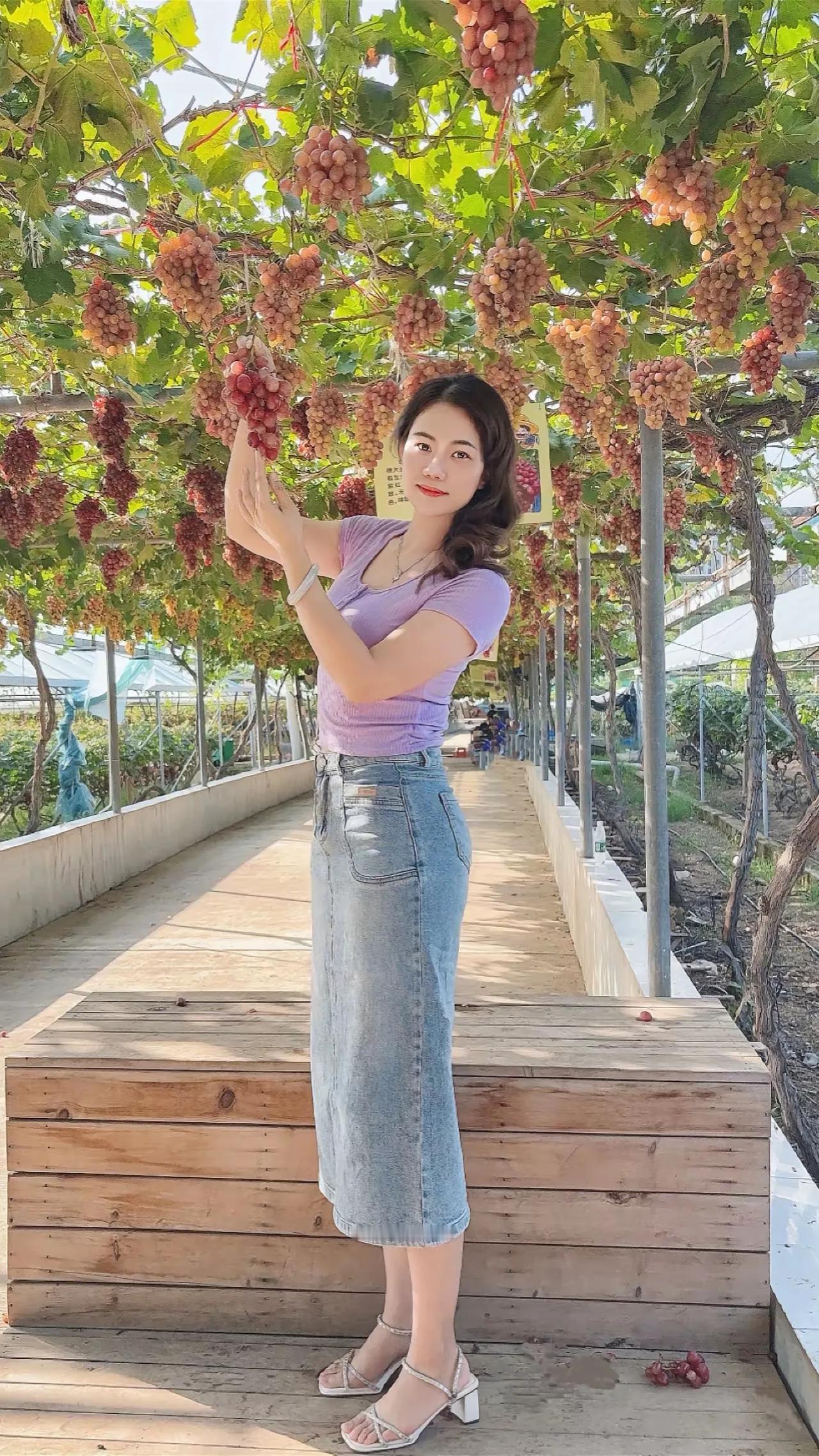 我家的葡萄丰收了

阳光透过层层叠叠的绿叶，
洒在紫莹莹的葡萄上，
宛如一串串晶