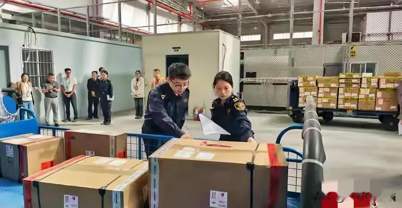 今天的这两票通关货物，其实才是海南封关最该被看见的信号

它根本不是给游客准备的