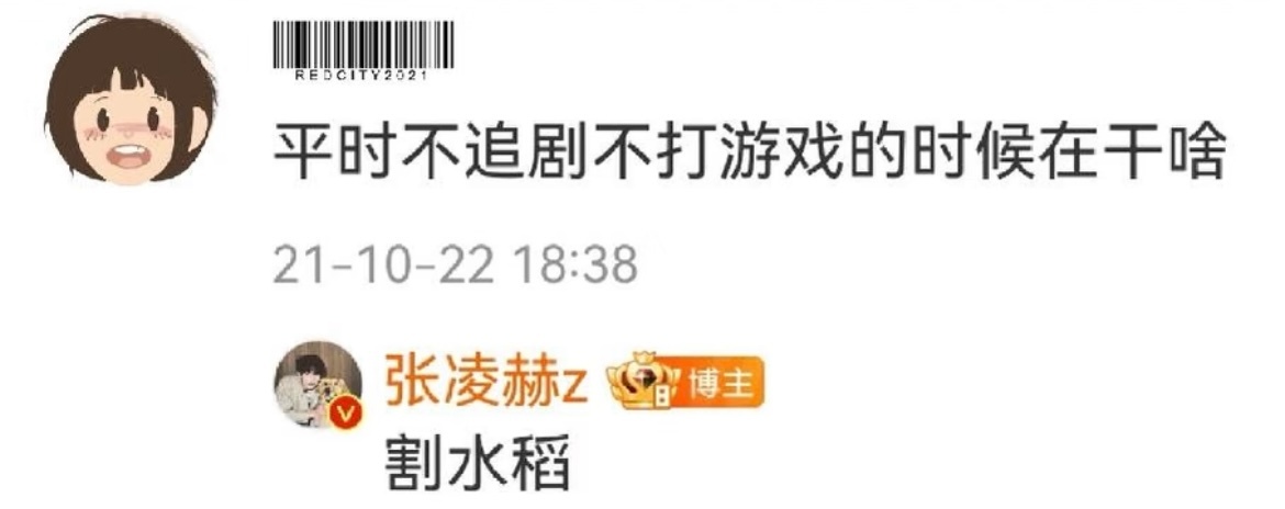 张凌赫这就是理工男吗？问一个答一个你敢问！我就敢说“平时不追剧不打游戏的时候在干
