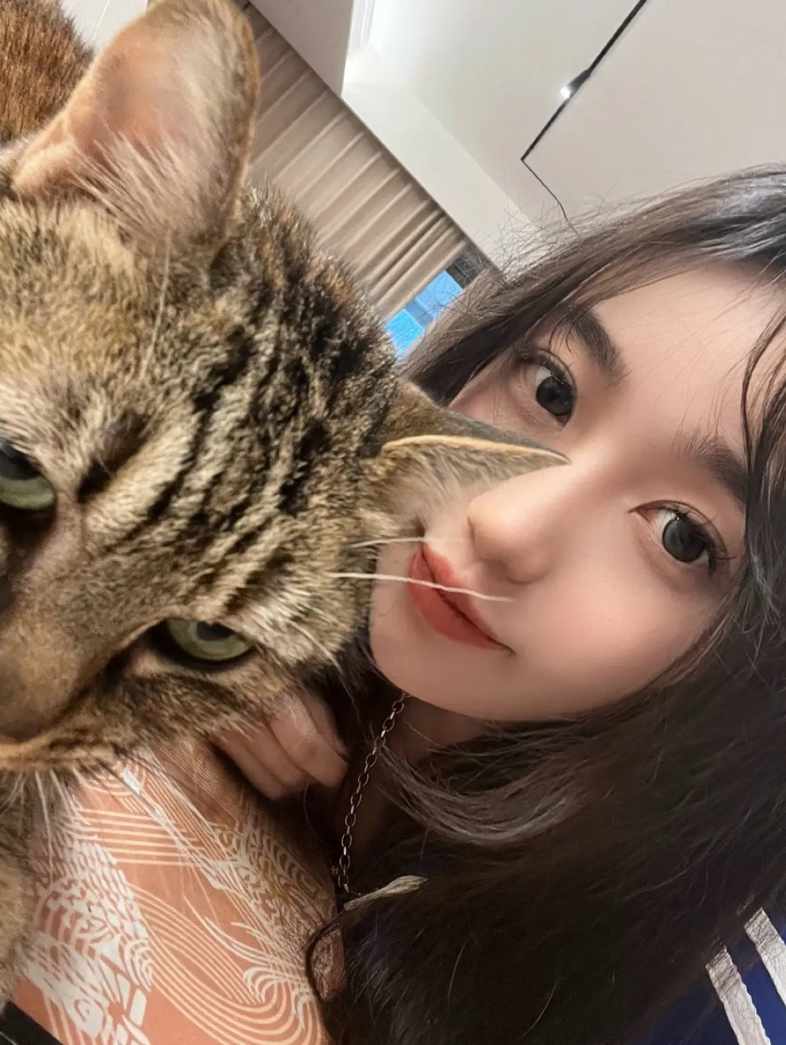 下辈子当只狸花猫。