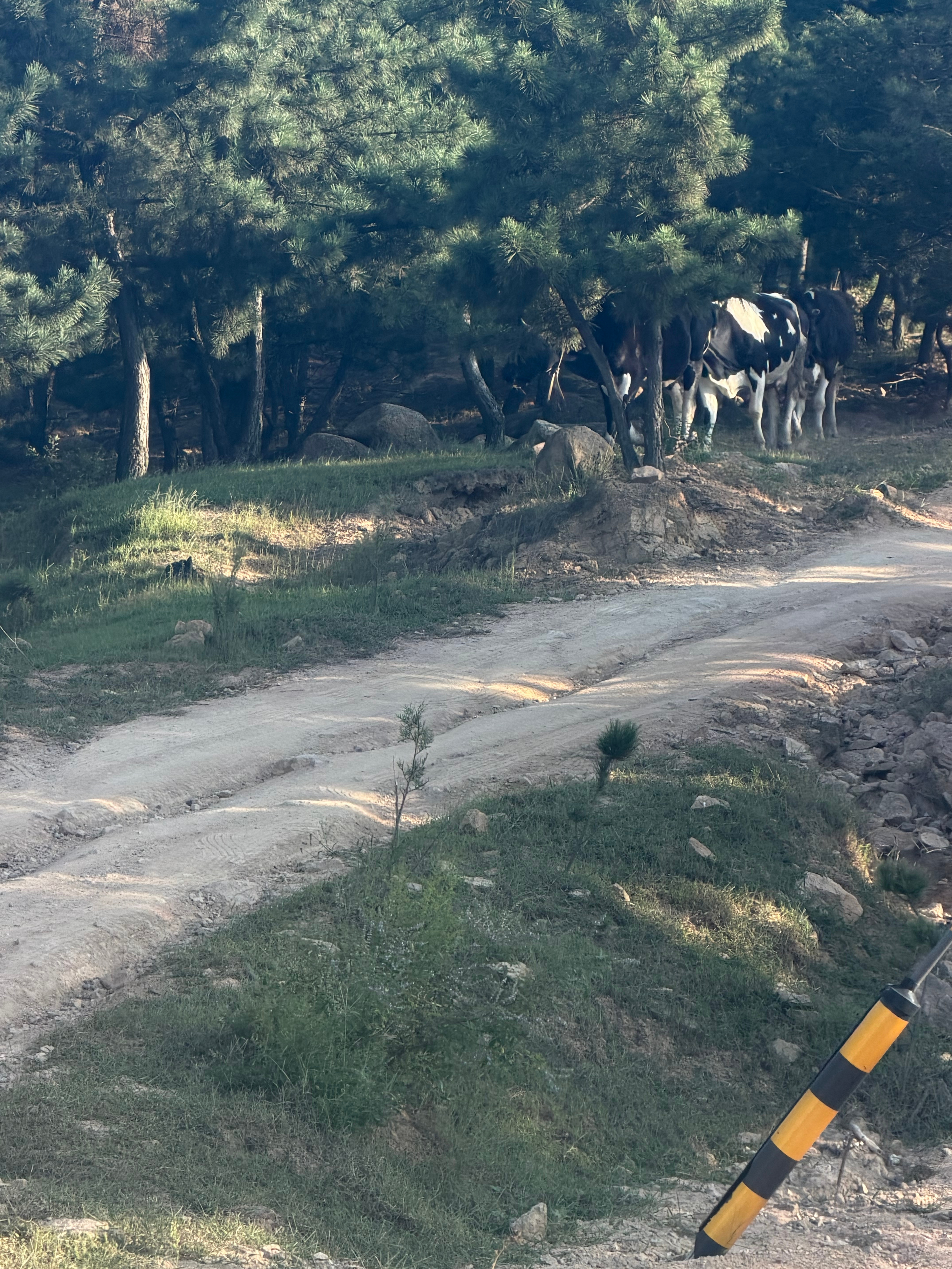 今天开理想L8livis 出来堪景，遇到了一段超烂的路，道特别窄不说地面还凹凸不
