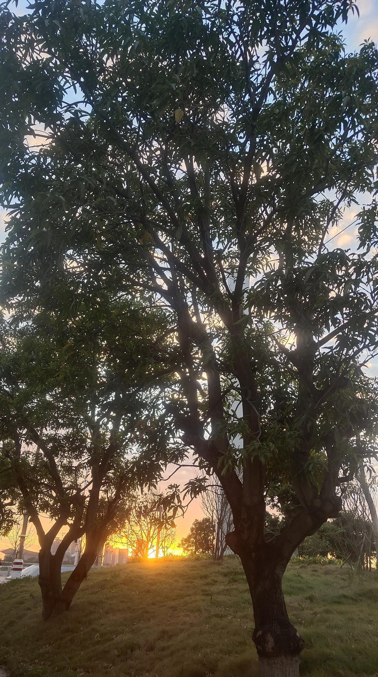 岁月如白驹过隙，眨眼间人生已过半。回首过往，那些曾经执着追求的功名利禄，在时光的