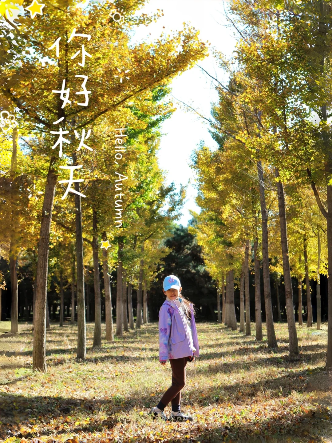 没人、免费，赏秋独享整片银杏林可太爽了！