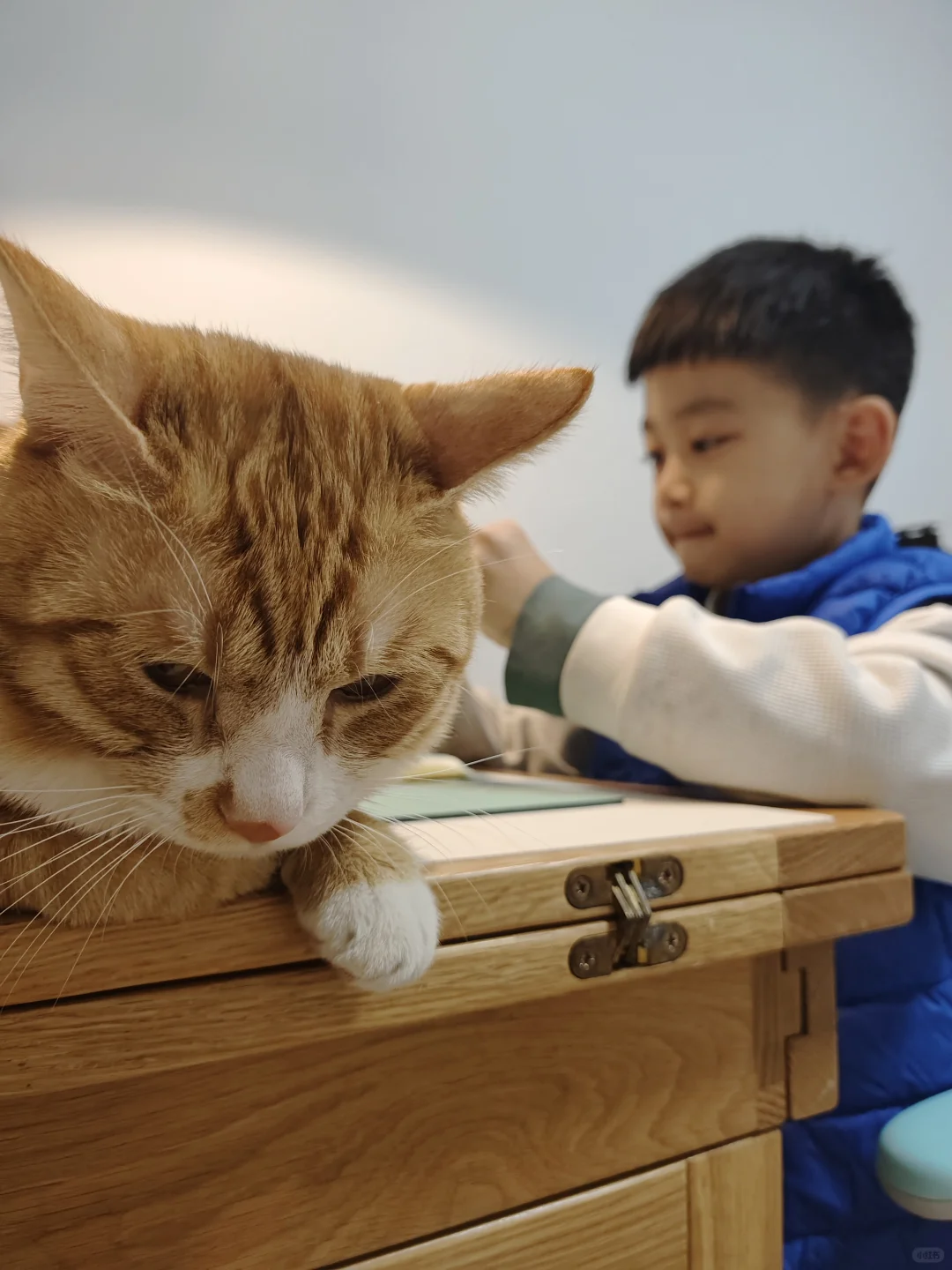 陪哥学习中～