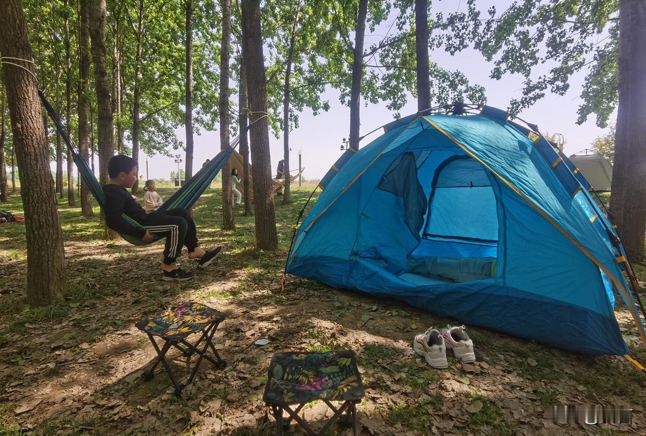 周末赶上这好天气，来湿地公园露营的人那叫一个多。一进公园，满眼都是五颜六色的帐篷