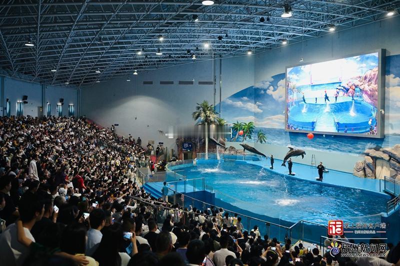 世纪金源集团在罗源深耕11年的升级之作-罗源湾海洋世界全新开放的“动物世界”和“