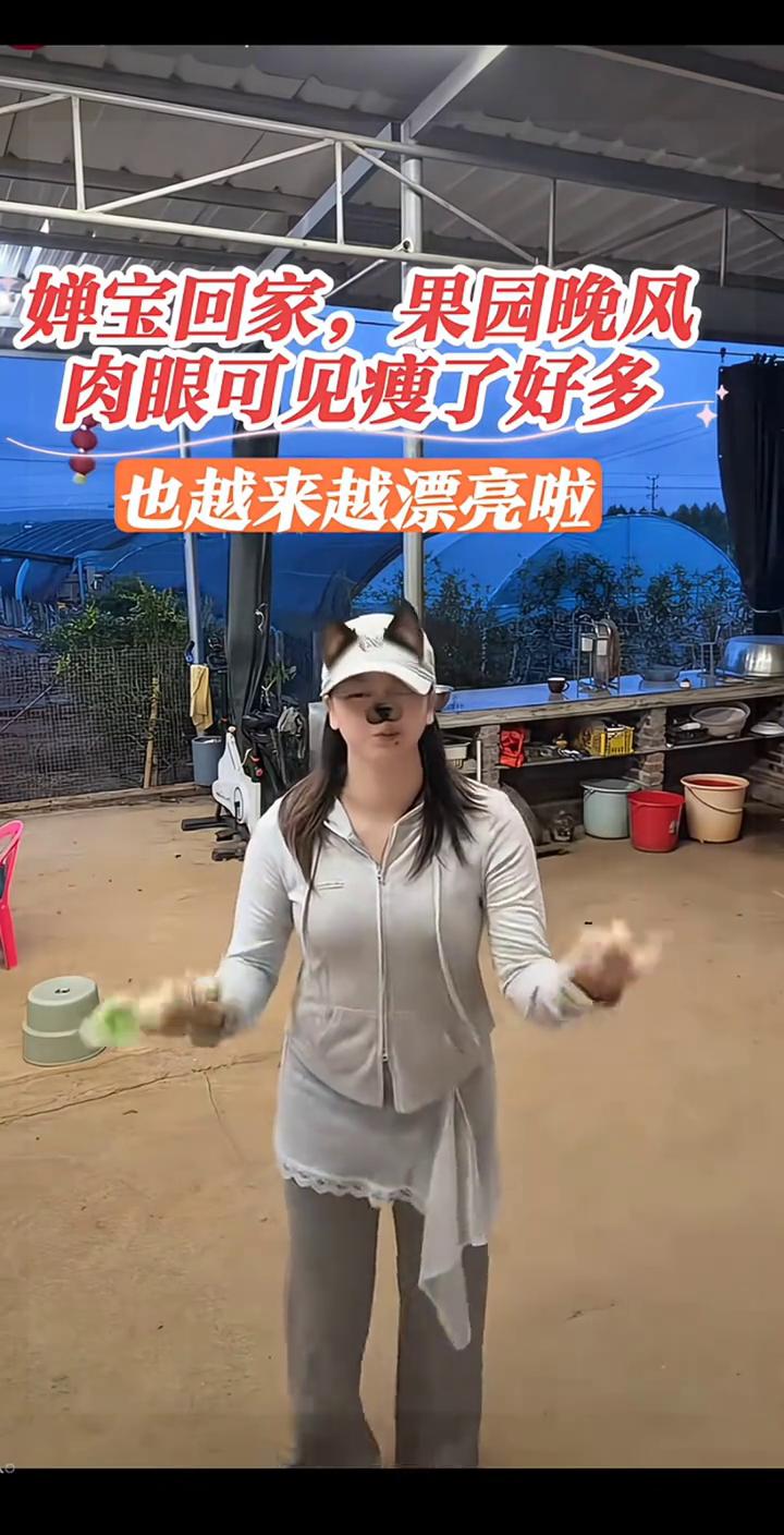 婵宝回家，果园晚风，肉眼可见瘦了好多。