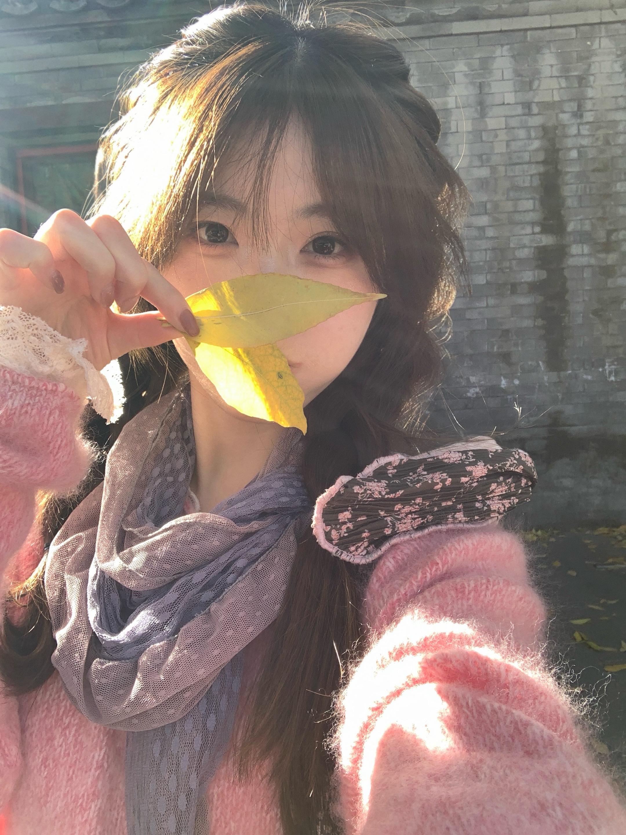 在这个落叶像雪的季节 🍂