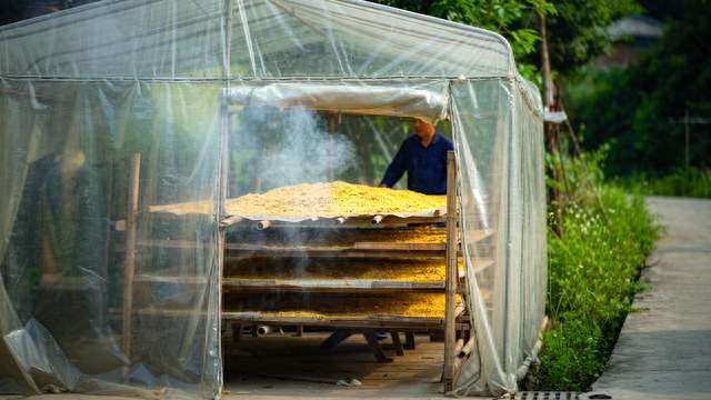 阳朔官方通报"情况属实"：硫磺熏的桂花干，正在紧急追溯流向