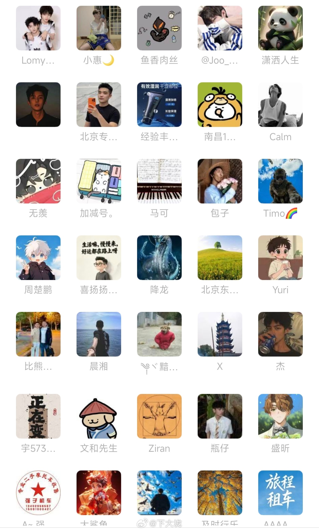 我加了一个江浙沪的男大群，发现年轻基友的头像都是这样的，基本以动物和卡通为主[喵