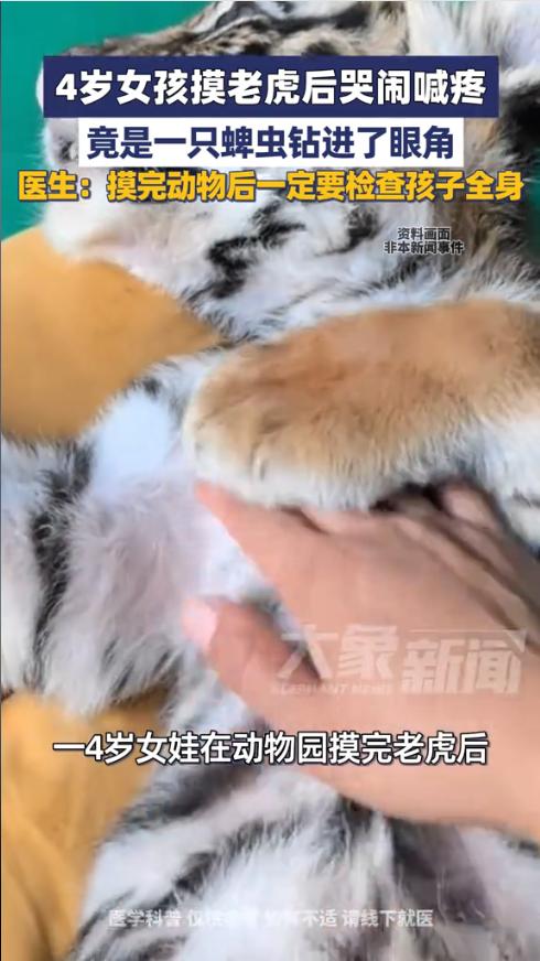 “太可怕了！”近日，河南郑州，一4岁女孩在动物园时摸了小老虎没想到回家后就开始哭
