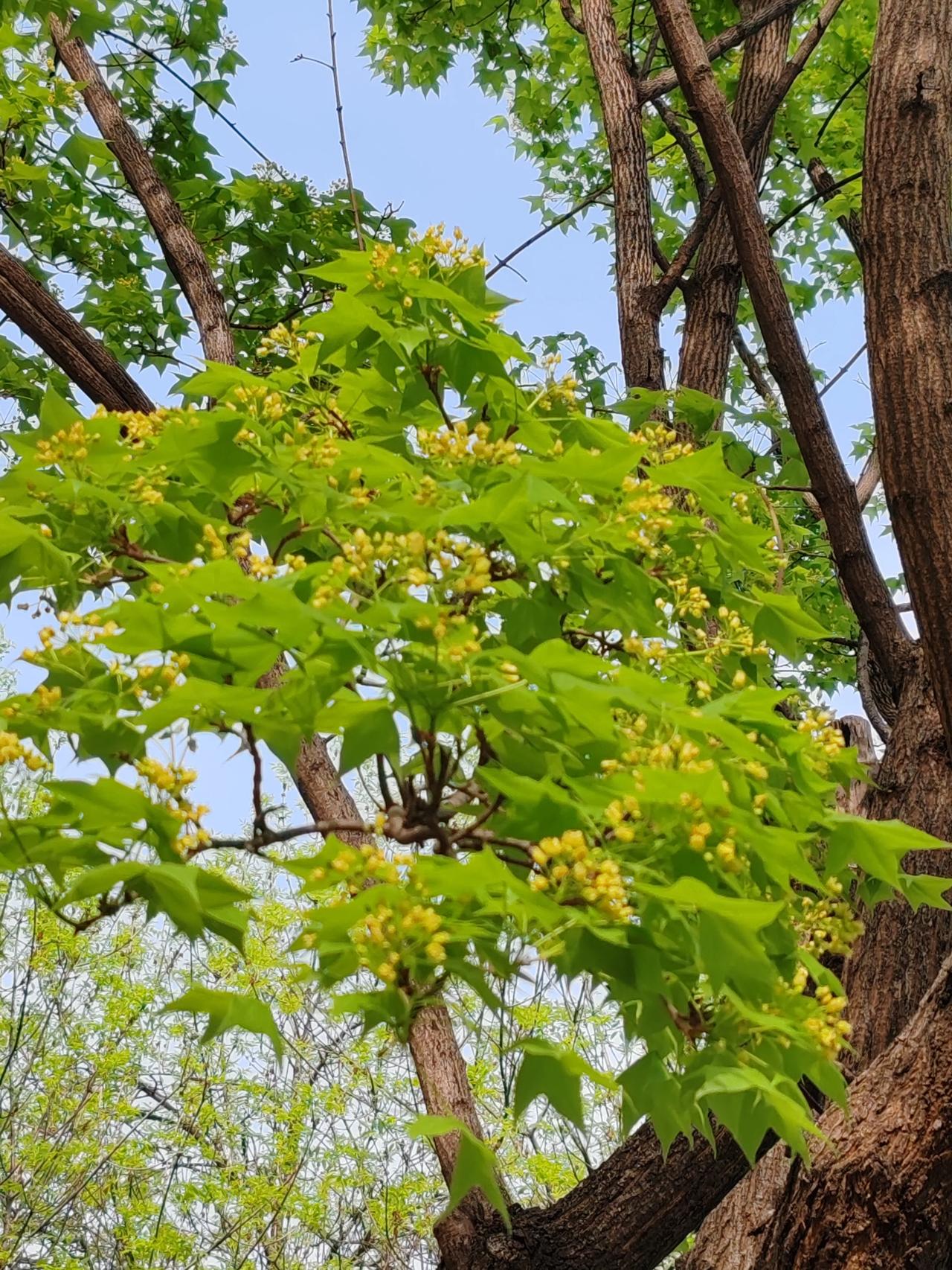 春日生活打卡季春日随手拍。