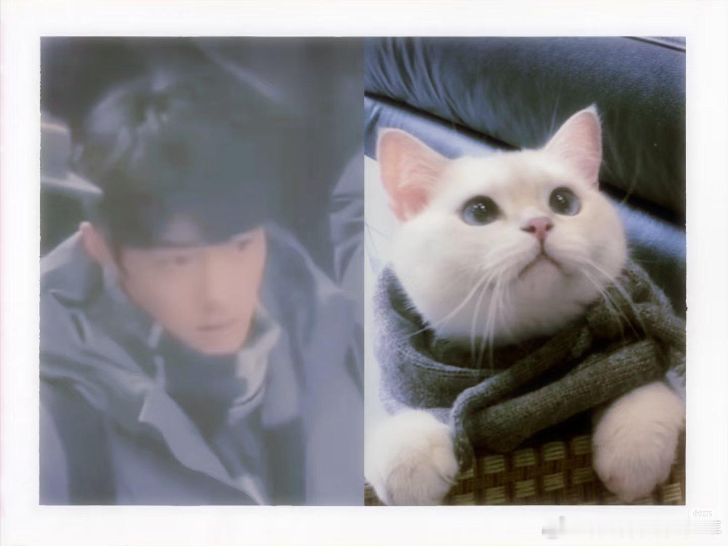 刘铮亮的身影一出现，故事便开始了……亮咪生活不容易～不就失业了嘛，多大点事