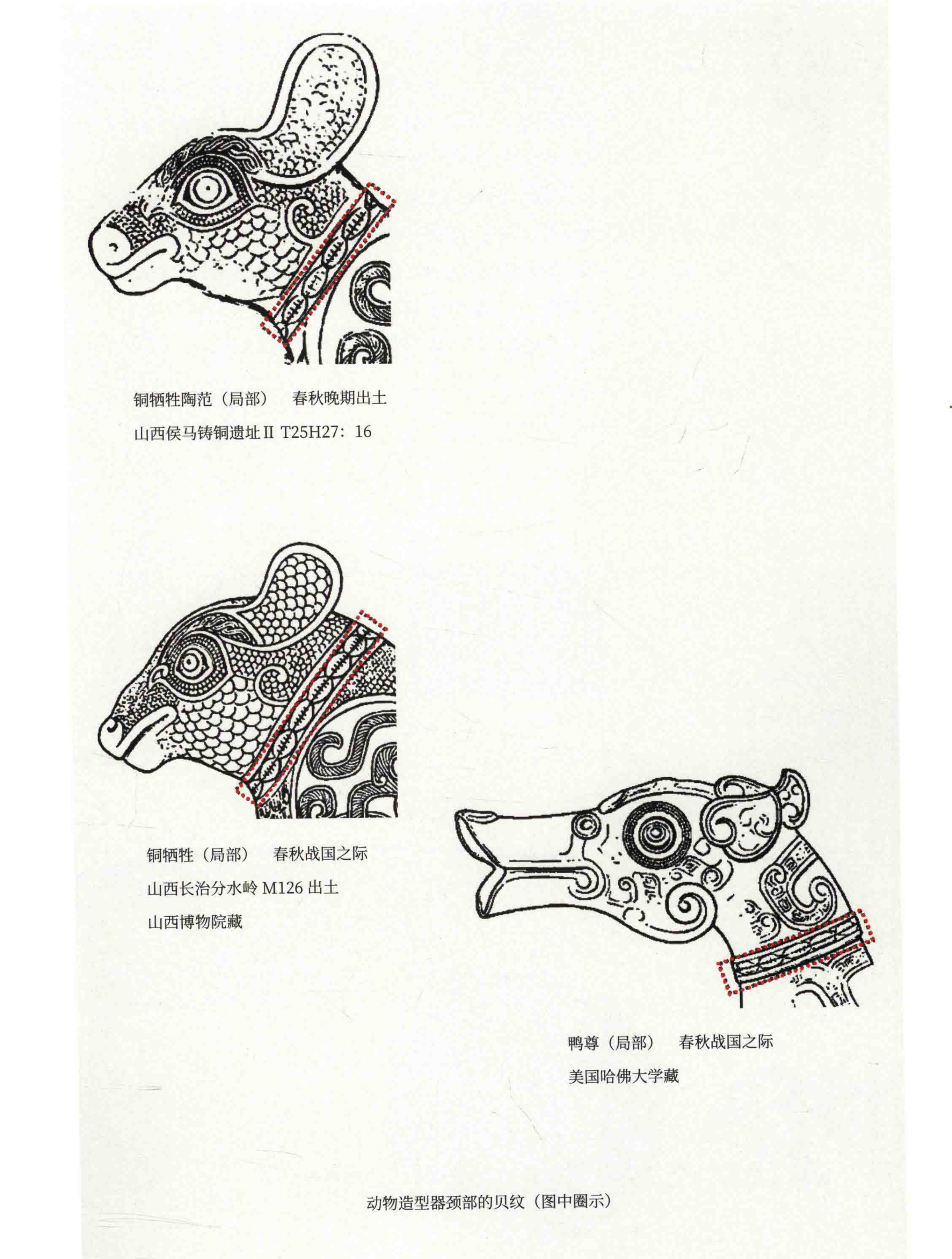 颈部的贝纹说不定是写实的，东周时期海贝已经没有晚商和西周那么高的价值，但作为装饰