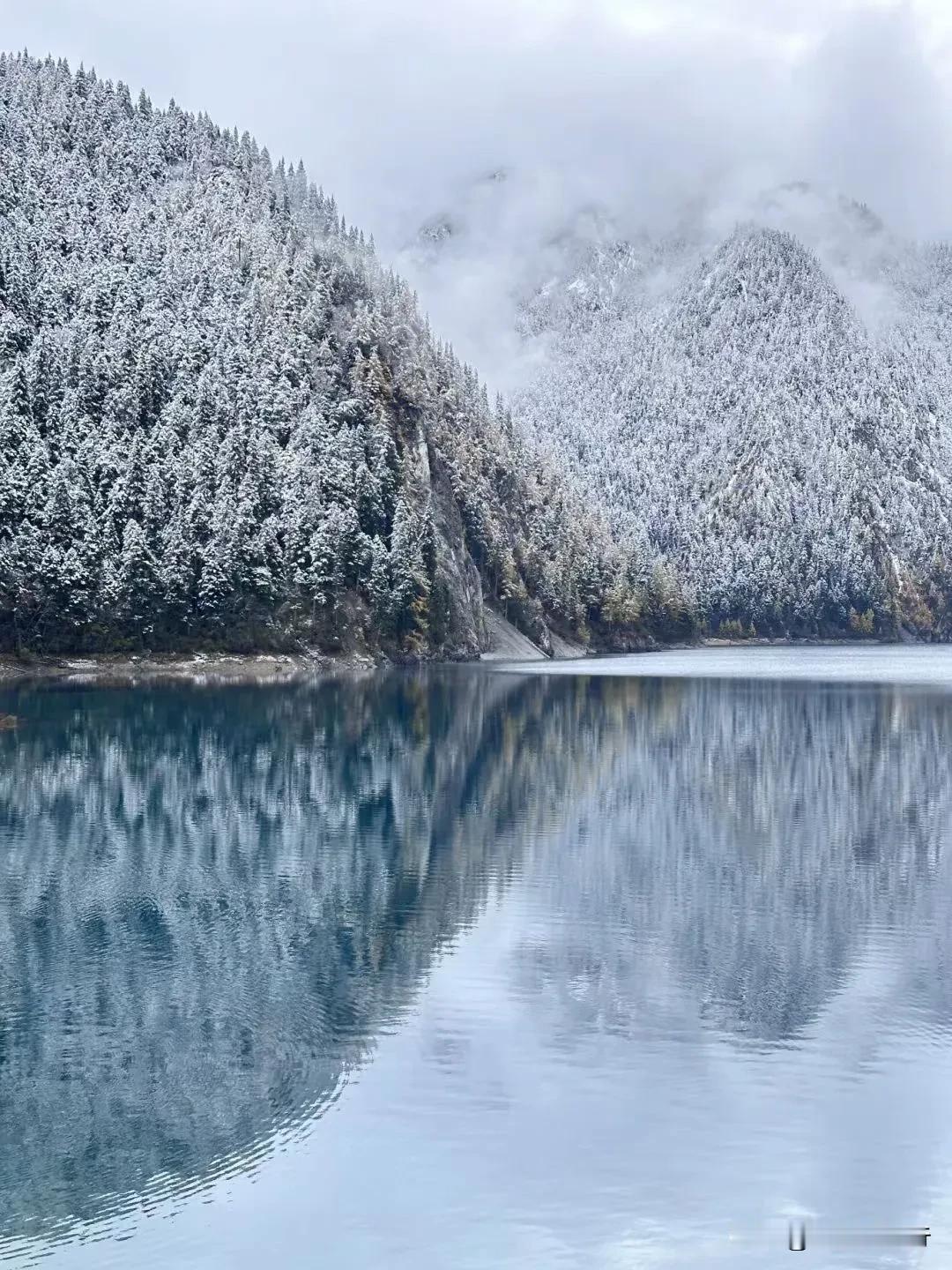 冬天的九寨沟和黄龙雪景美得如同童话世界～

白雪飘零配上蓝宝石版的海子💎
下雪