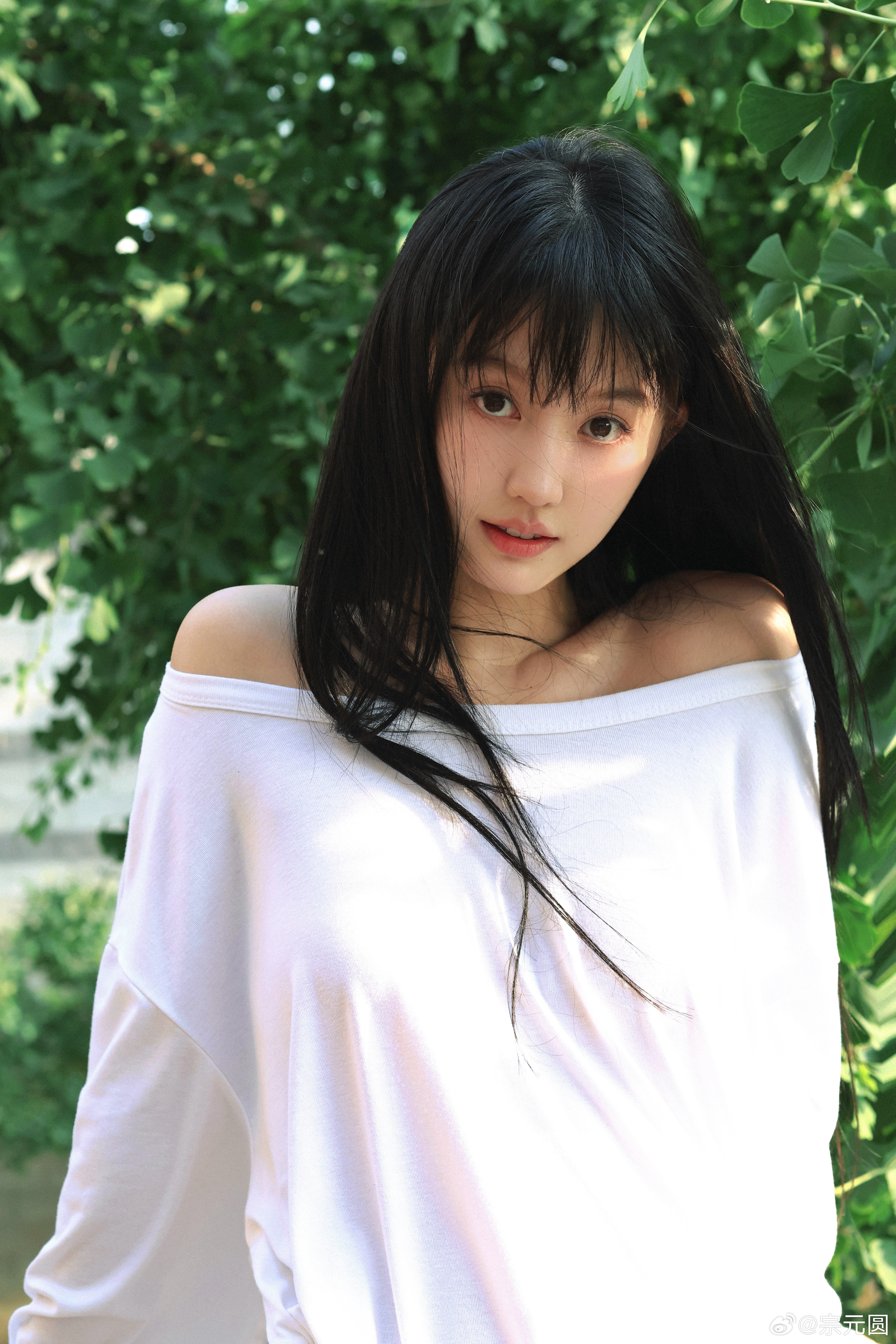 端午包好的 包裹在绿叶中我像粽子里的肉馅儿不 ​​​