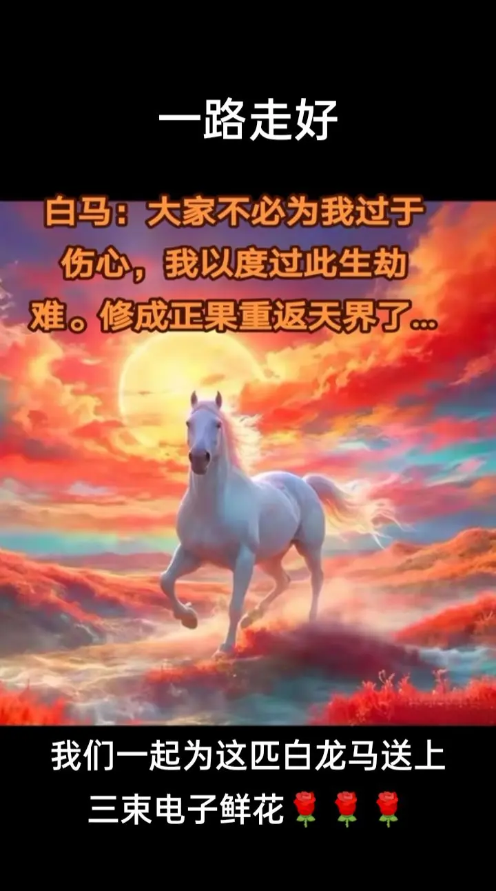 2月4号救人的白龙马高烧不退，2月11号因病情过重不幸去世，太感人了