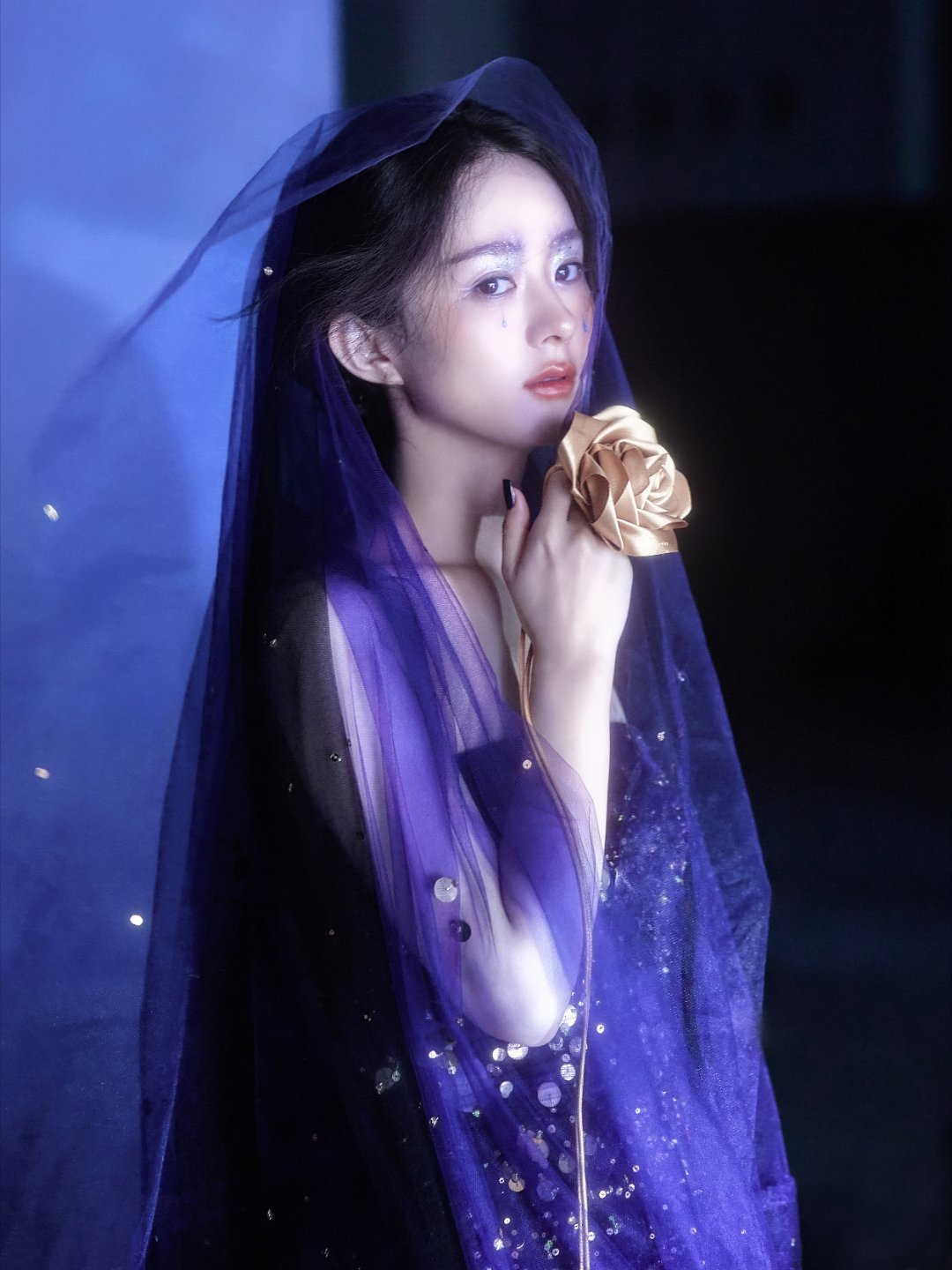 赵丽颖 你不是星星，你是我的整个坐标系与浪漫宇宙。