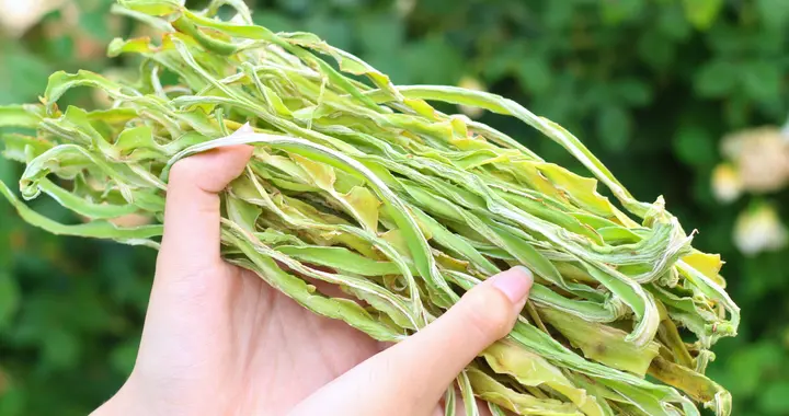 夏天这菜，1斤才几毛钱，买上几十斤晒干，炒肉涮火锅都好吃~