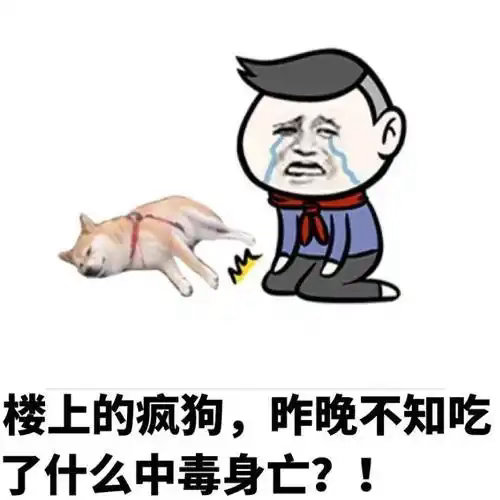 论凌晨三点半有宠物医院接诊的重要性 