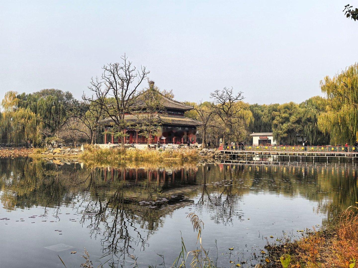初冬的北京圆明园摄影