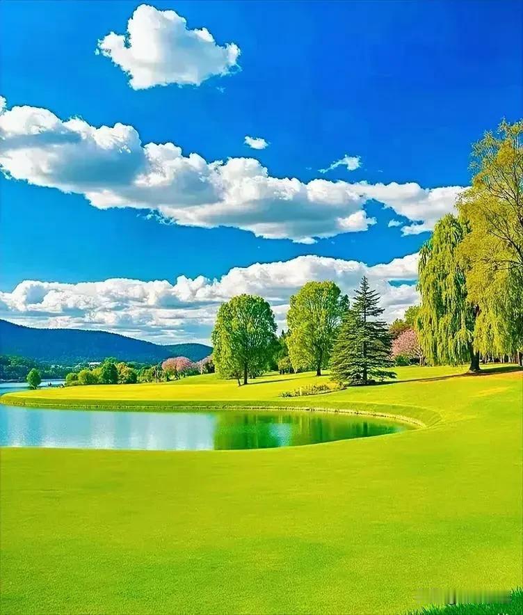 一位教育专家说:
“现在上不上大学已经无所谓了，已经到了应该放弃应试教育，转头去