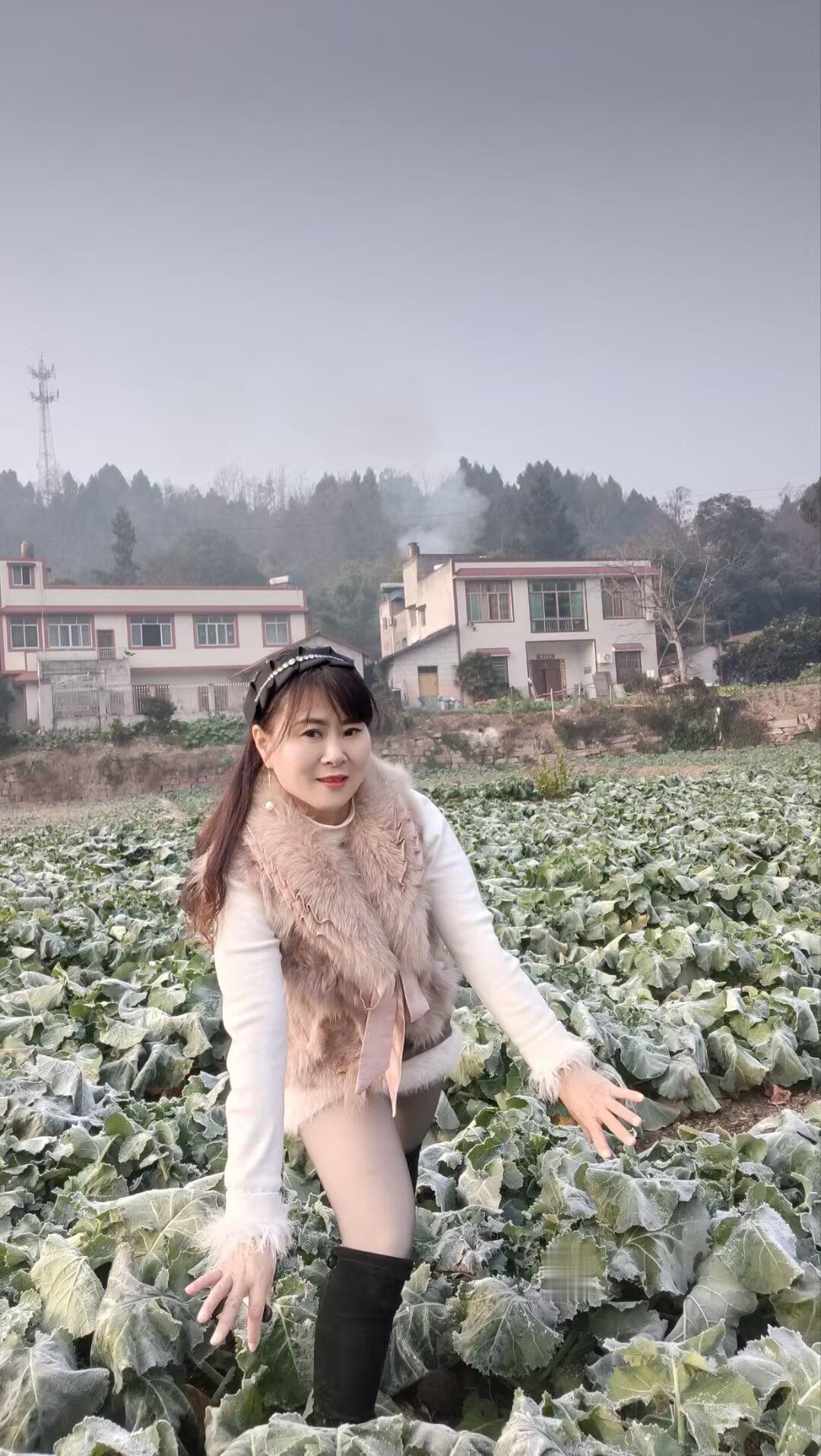 忘不了你我又得不到，可惜没有资格和你拥抱^