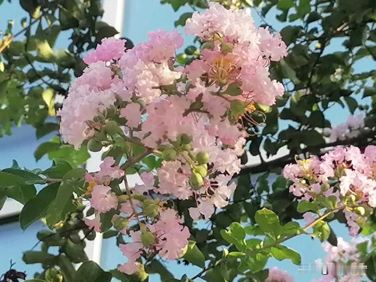 遇到不同频的人
就不要太较真
否则就是自寻烦恼
既然道不同，不相为谋
那就桥归桥