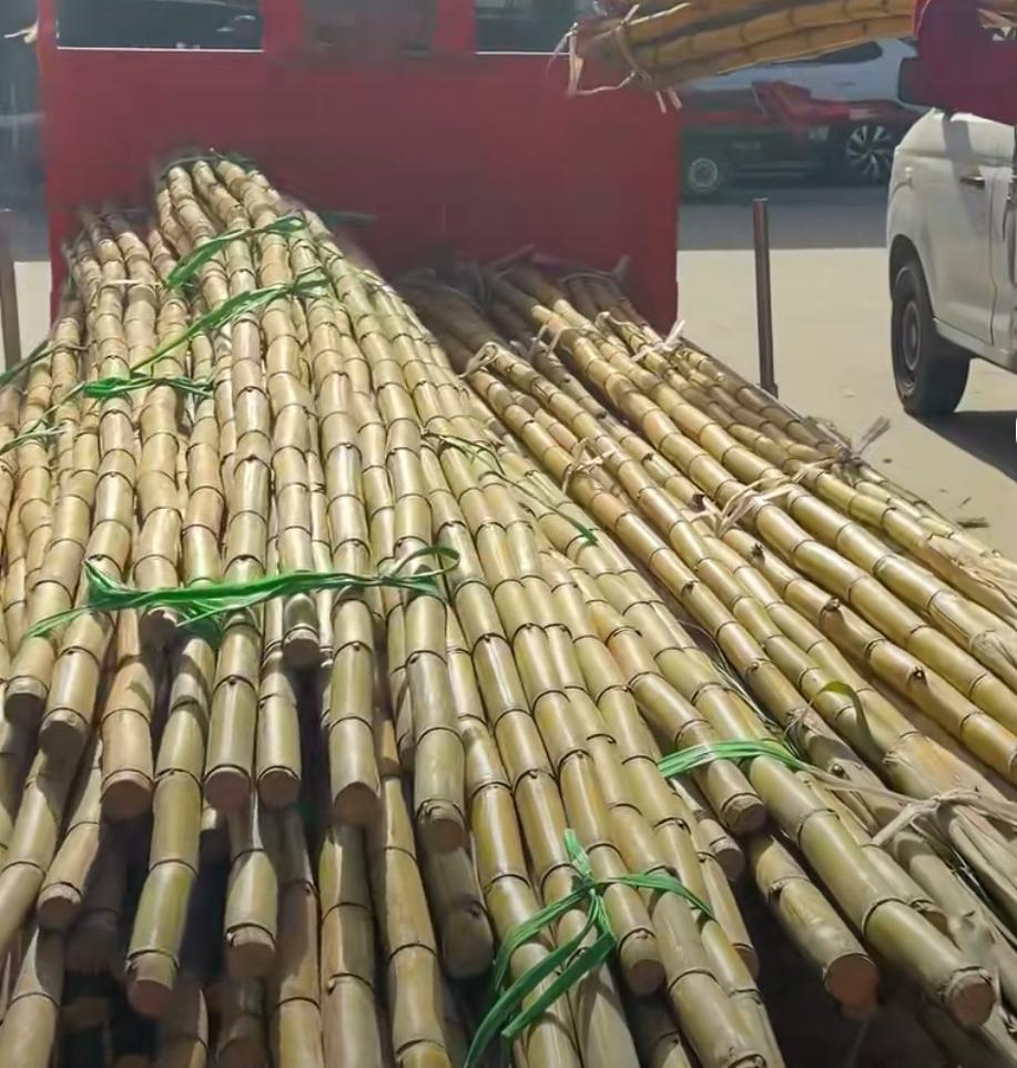 去年的甘蔗15块一根，还不让还价，今年15块2根，吃甘蔗终于实现自由了。

为什