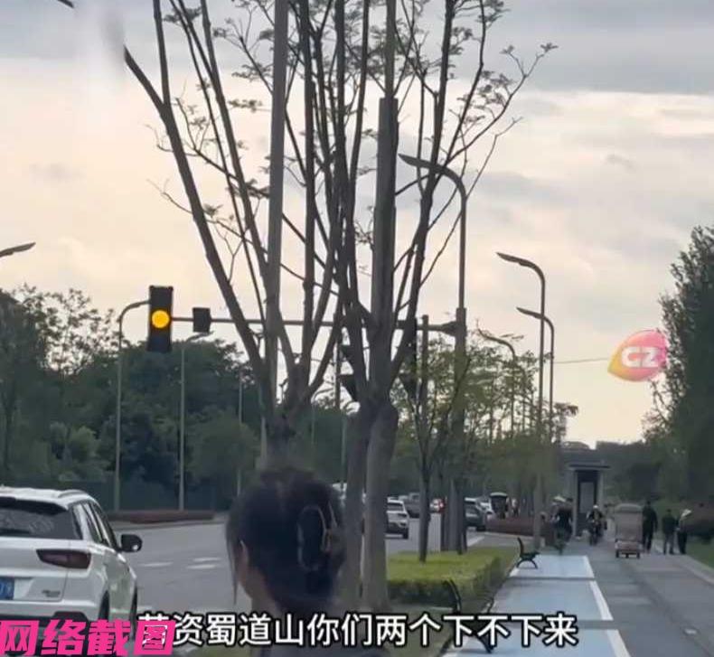 四川成都有女子家养两只鹦鹉，这次带两只鹦鹉出门放飞，只不过女子要回家时，口气严肃