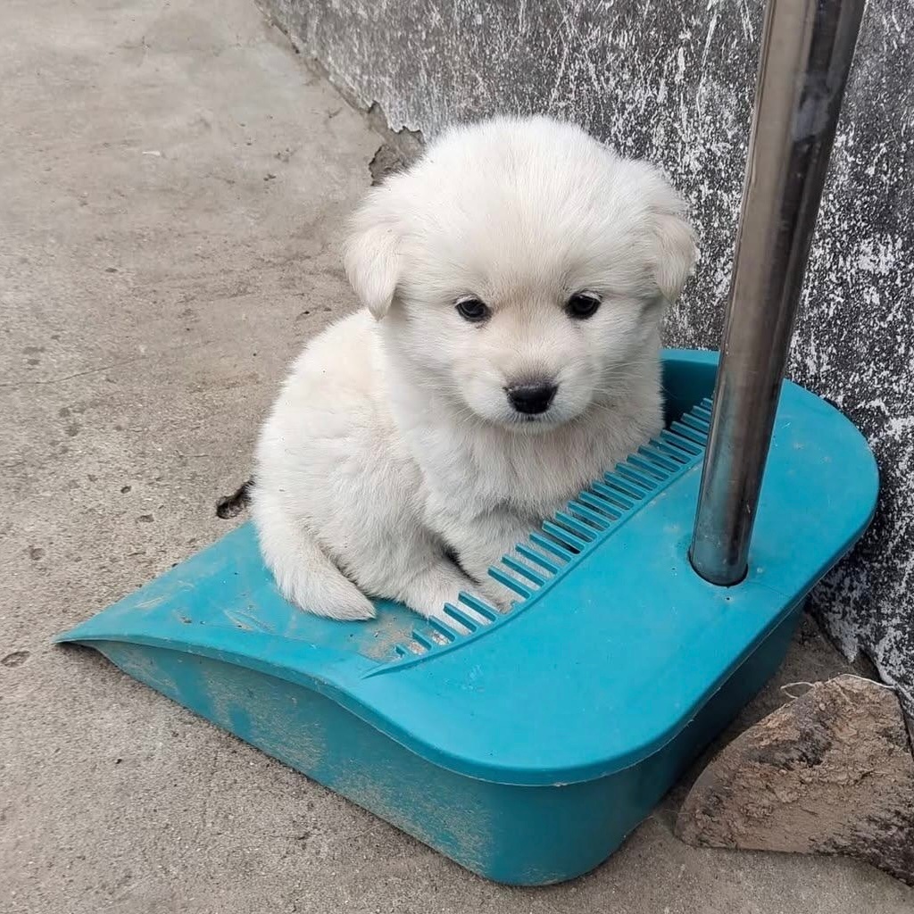 我家攻 