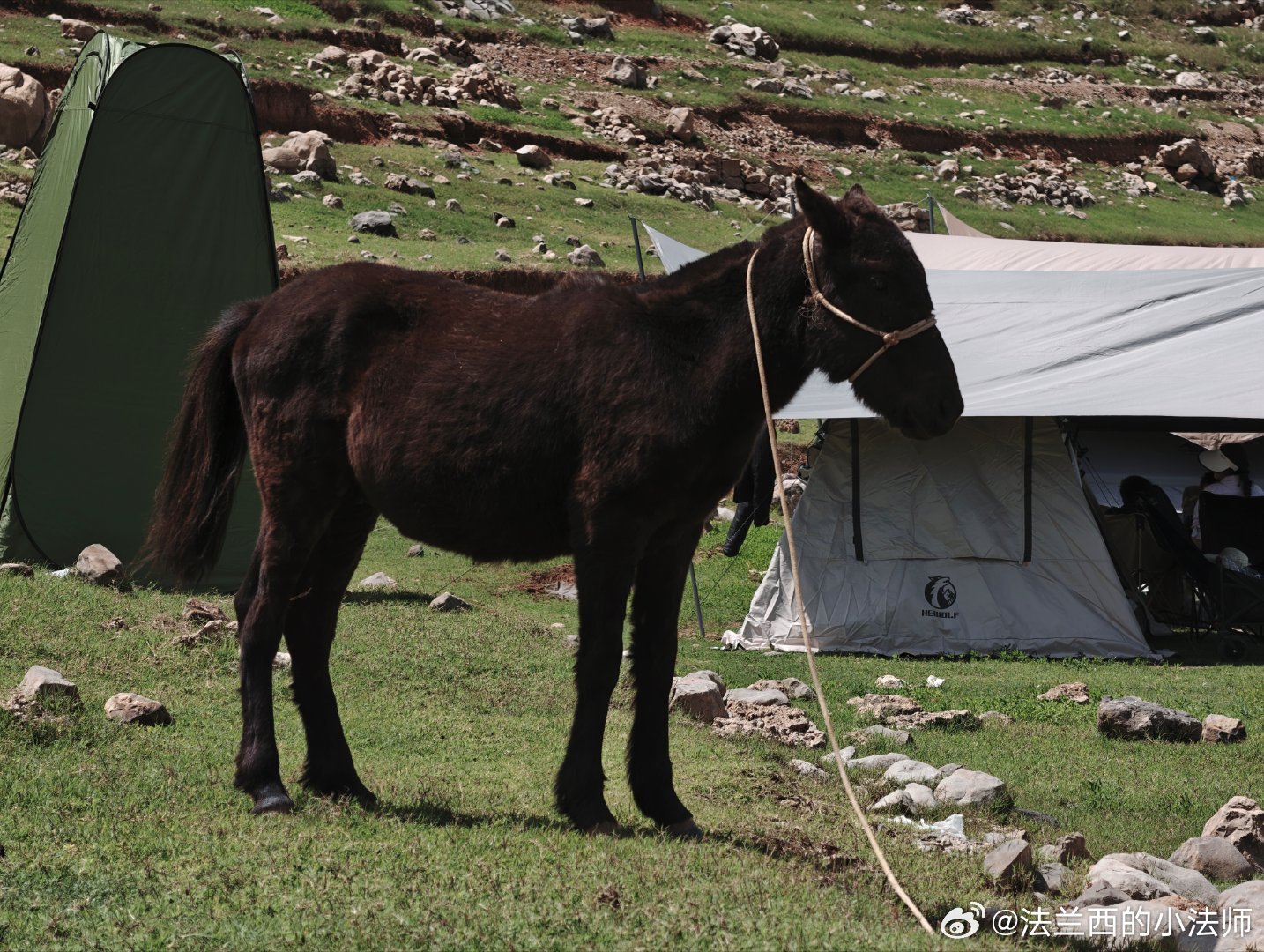 嘿嘿，这么好的天气，出来自驾野炊一下！电车就是方便，接上外放电整个小烧烤！稳得很