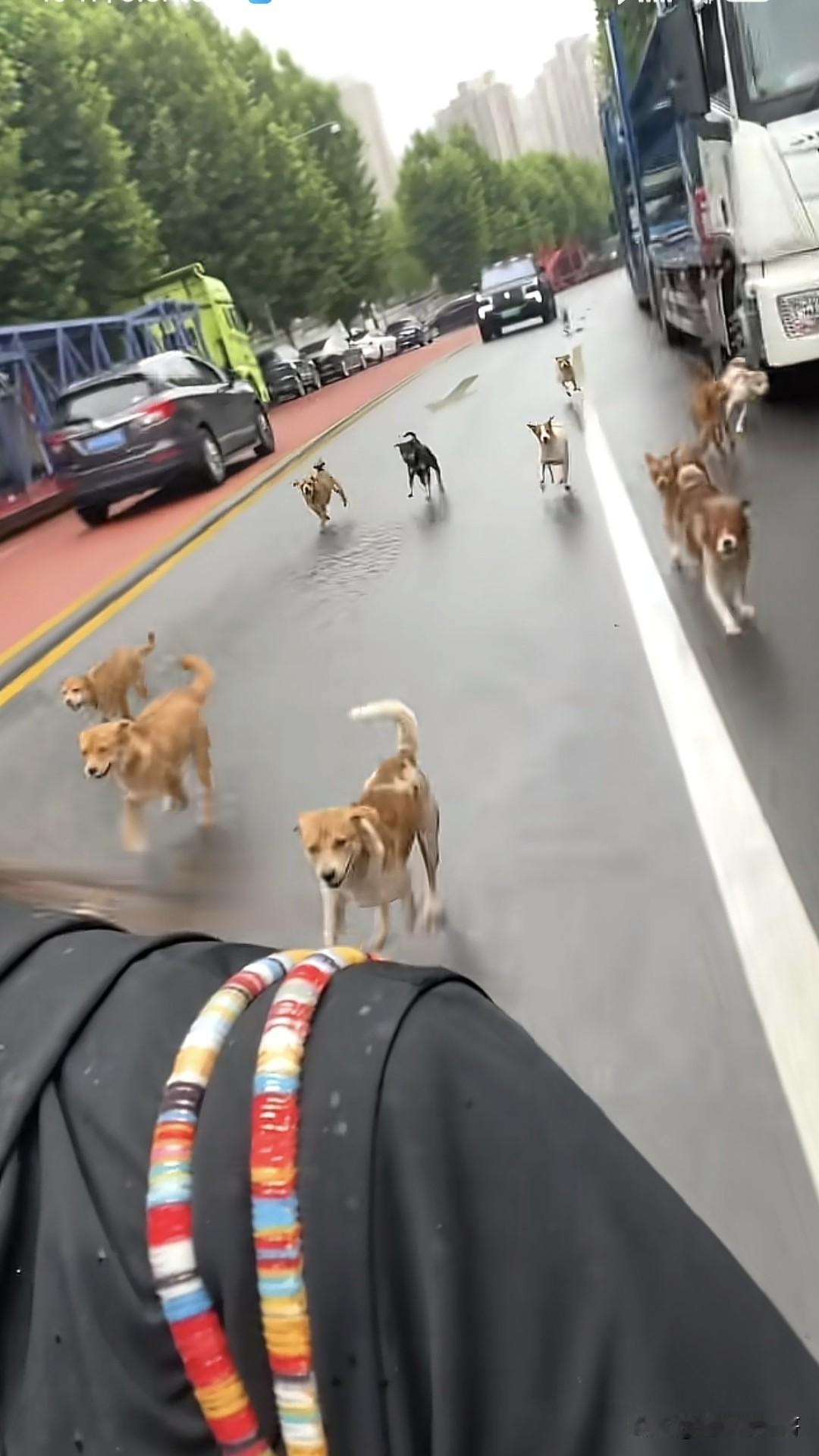 遇到这种阵仗怎么办？
